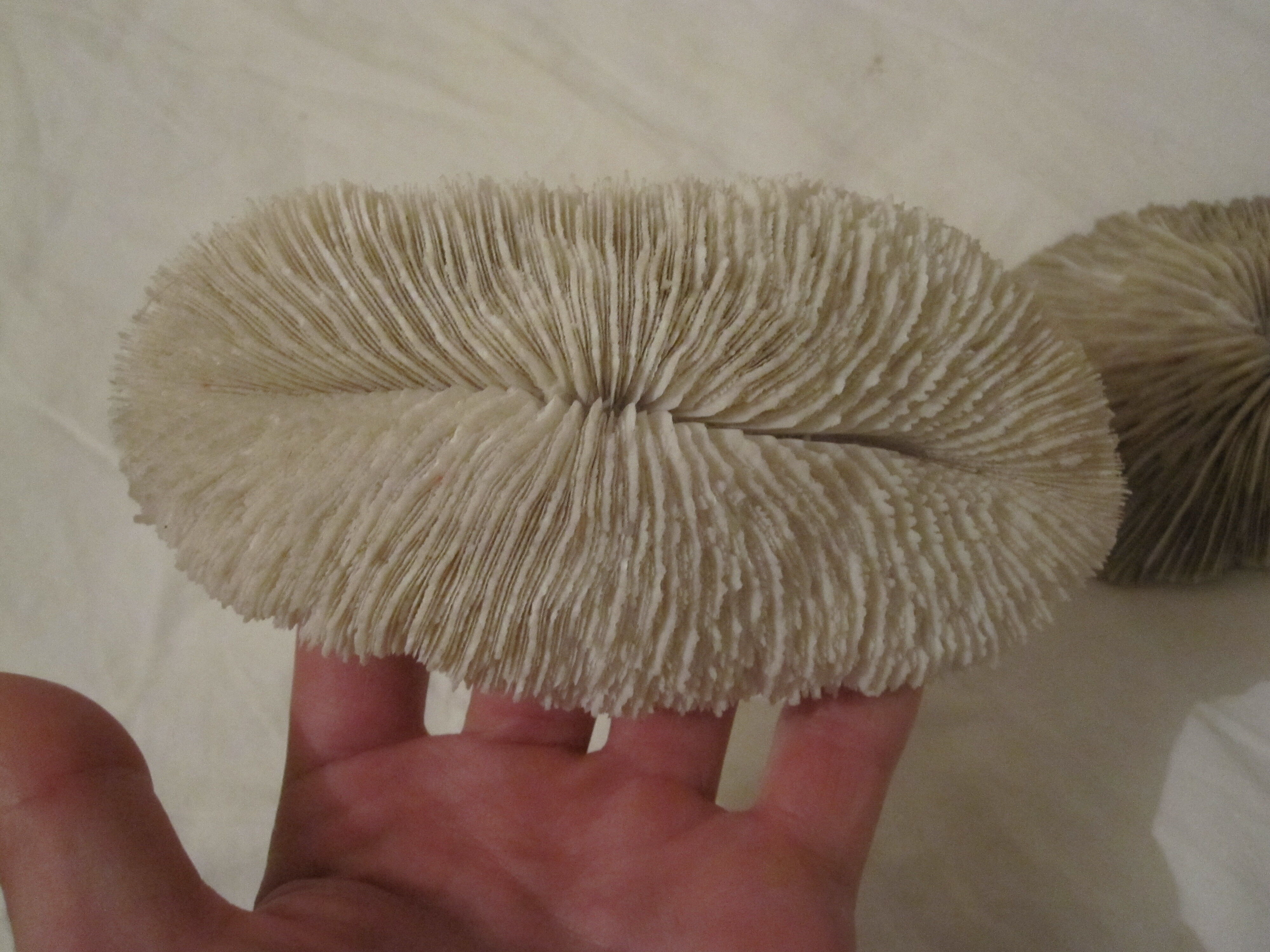 Coral white set vintage deco