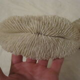 Coral white set vintage deco