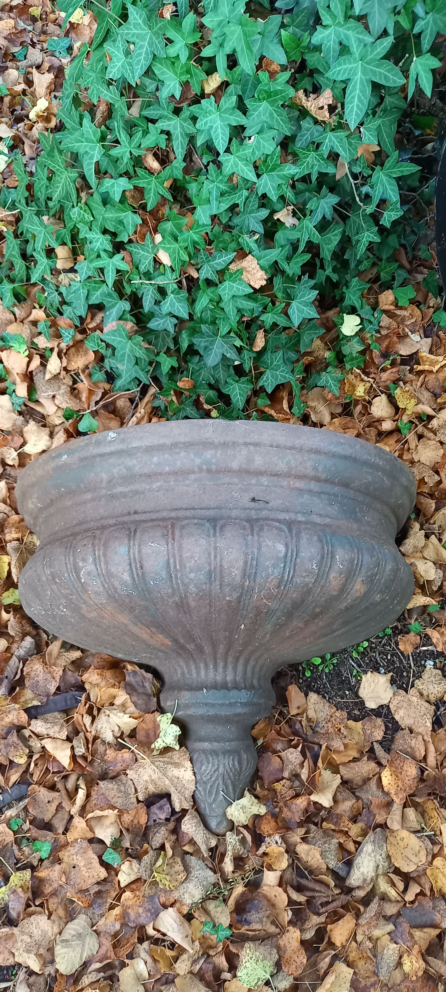Cast iron planter