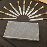 Sabatier table knives