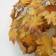 Vintage maison art et floritude ceiling light. autumn leaf