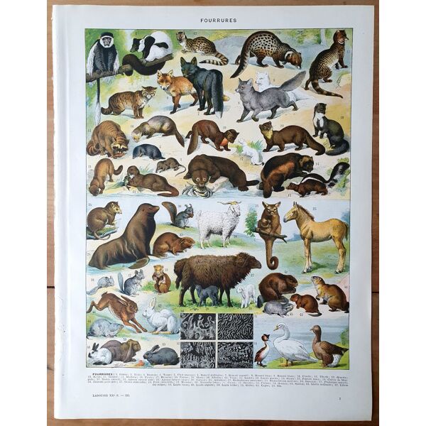 Old animal board | Selency Old animal board | Selency