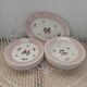 12 plates + 1 Digoin and Sarreguemines dish