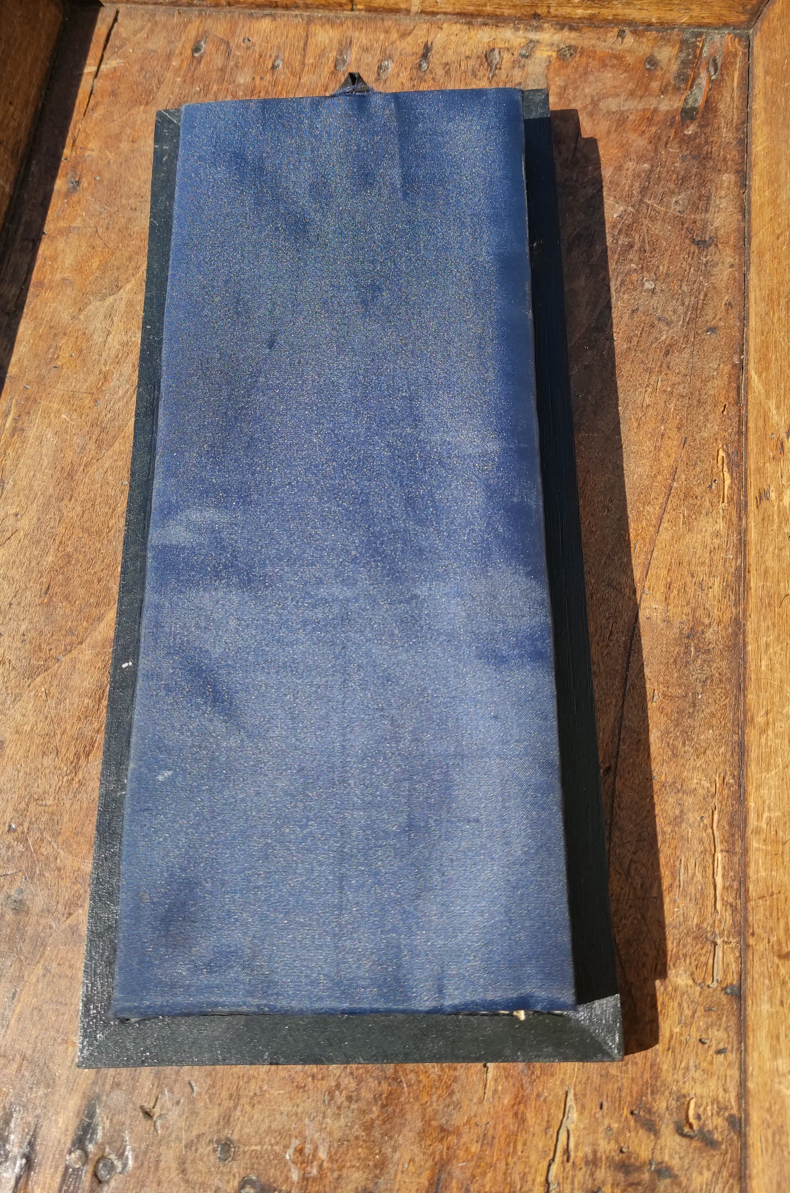 Vintage naturalized butterfly frame