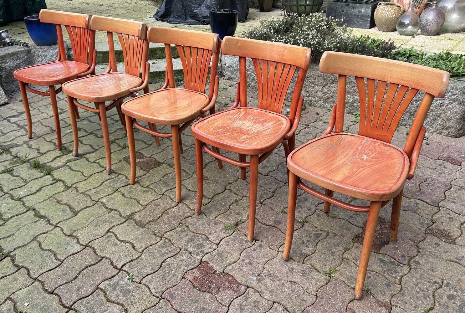 Set of 5 brasserie, bistro chairs, in their original condition, vintage, 1960s