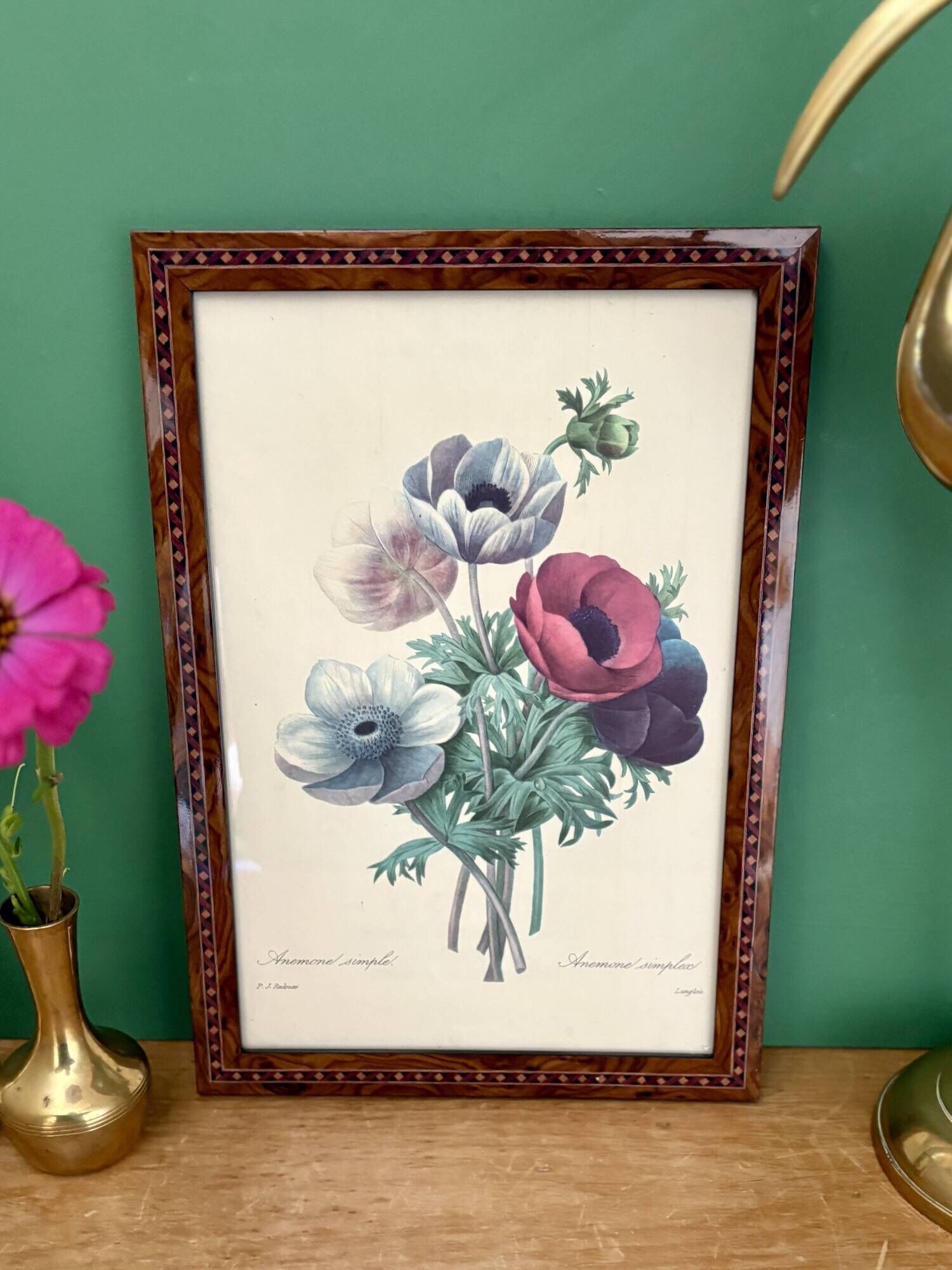 Vintage frame drawing of anemones by Redouté.