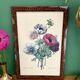Vintage frame drawing of anemones by Redouté.