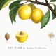 Vintage poster about the St. Catherine's plum tree