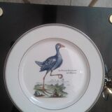 Assiettes Paradiso