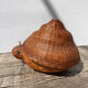 Jewelry box rattan snail vintage wicker woven old panière