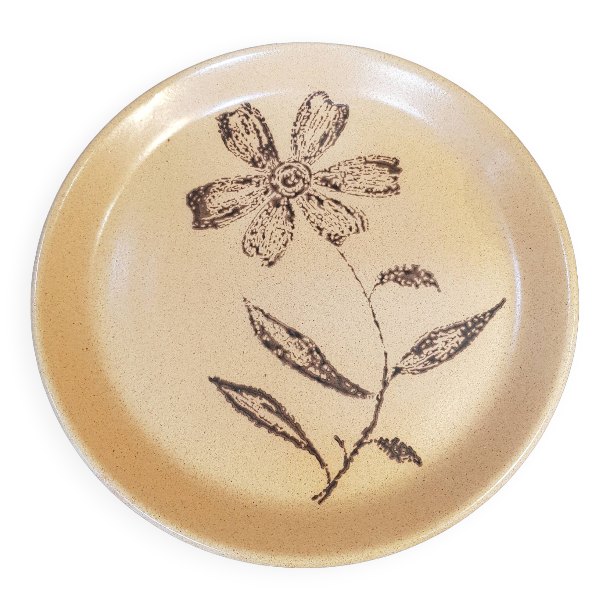 10 stoneware dinner plates