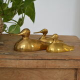 Suite of 3 brass ducks