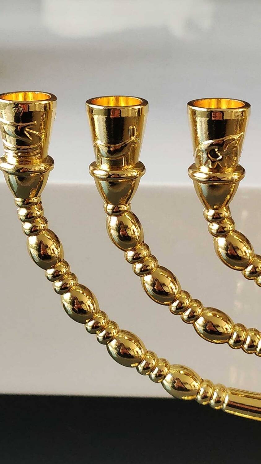 Menorah/Jewish/Hebrew candlestick with 7 arms of light. Engraved with the symbols of the 12 tribes of Israel/Holyland inscription. In gold metal. Size 20 x 16 cm