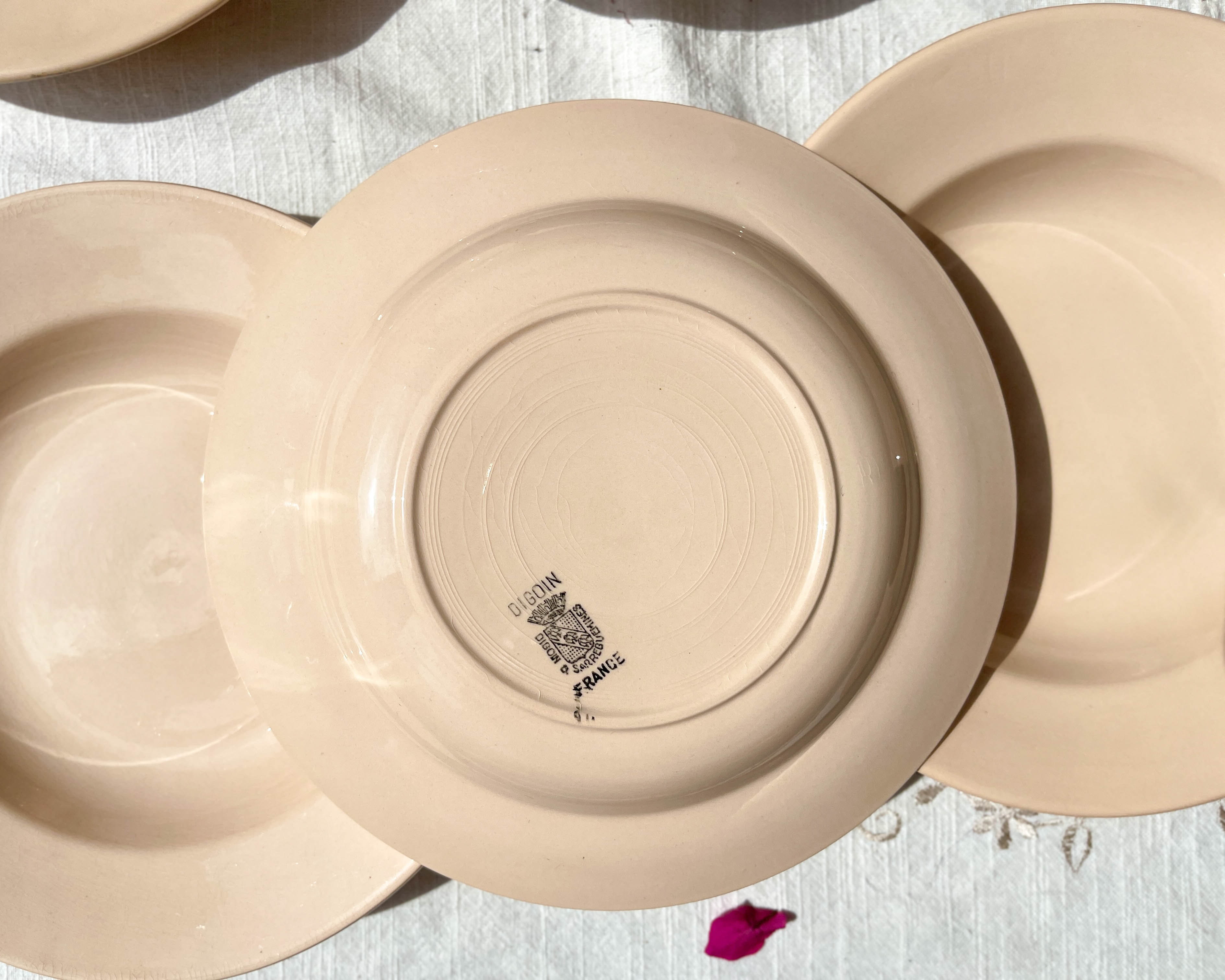 6 assiettes creuses rose digoin sarreguemines