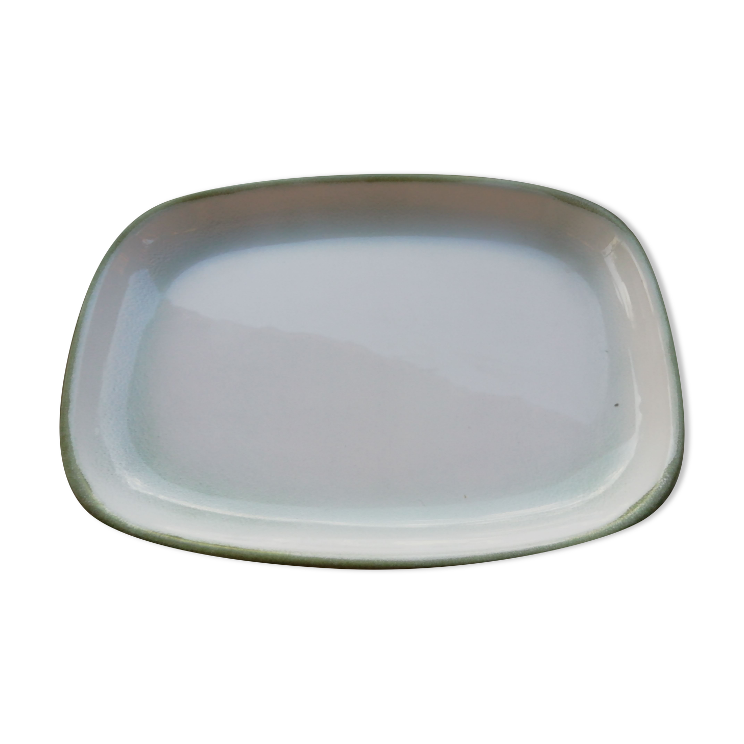 Salins Dish