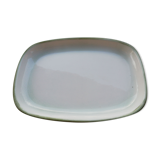 Plat Salins