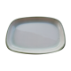 Salins Dish