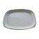 Salins Dish