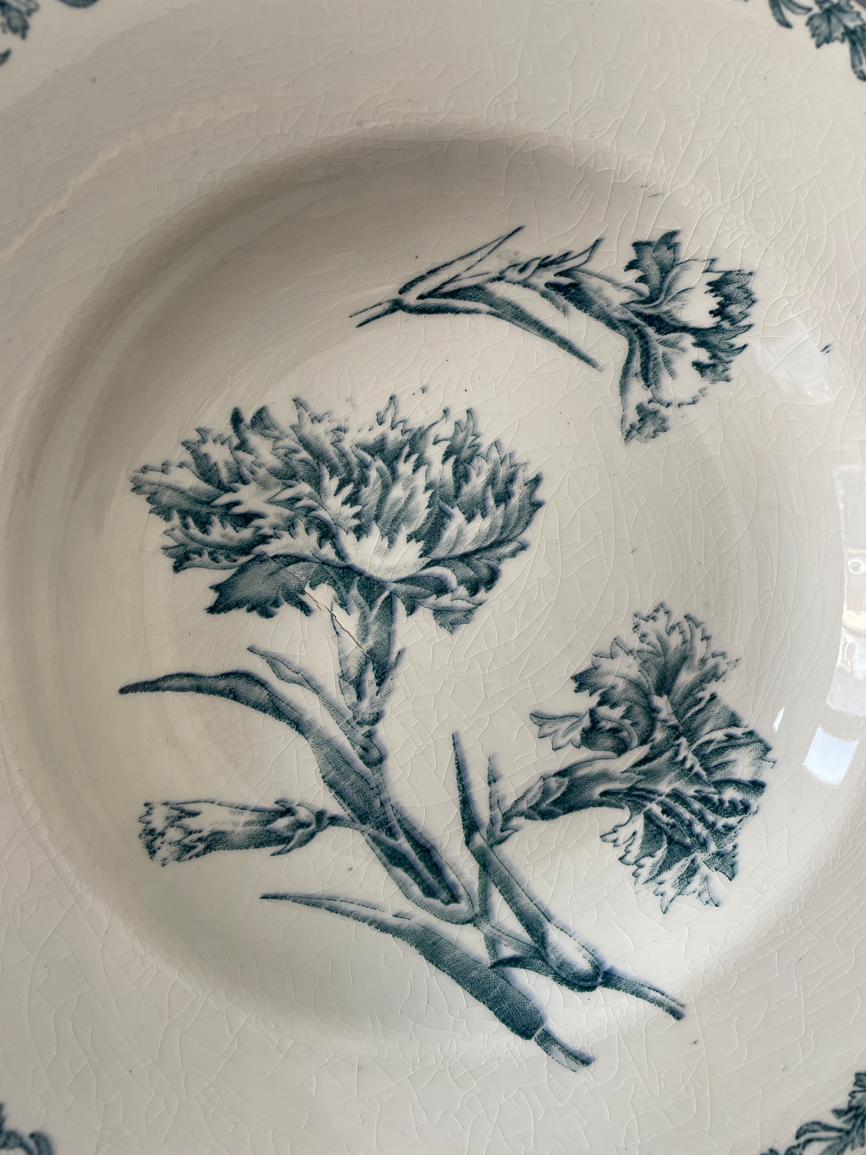 Set of 7 hollow plates Terre de Fer K.G Lunéville, model "carnation"