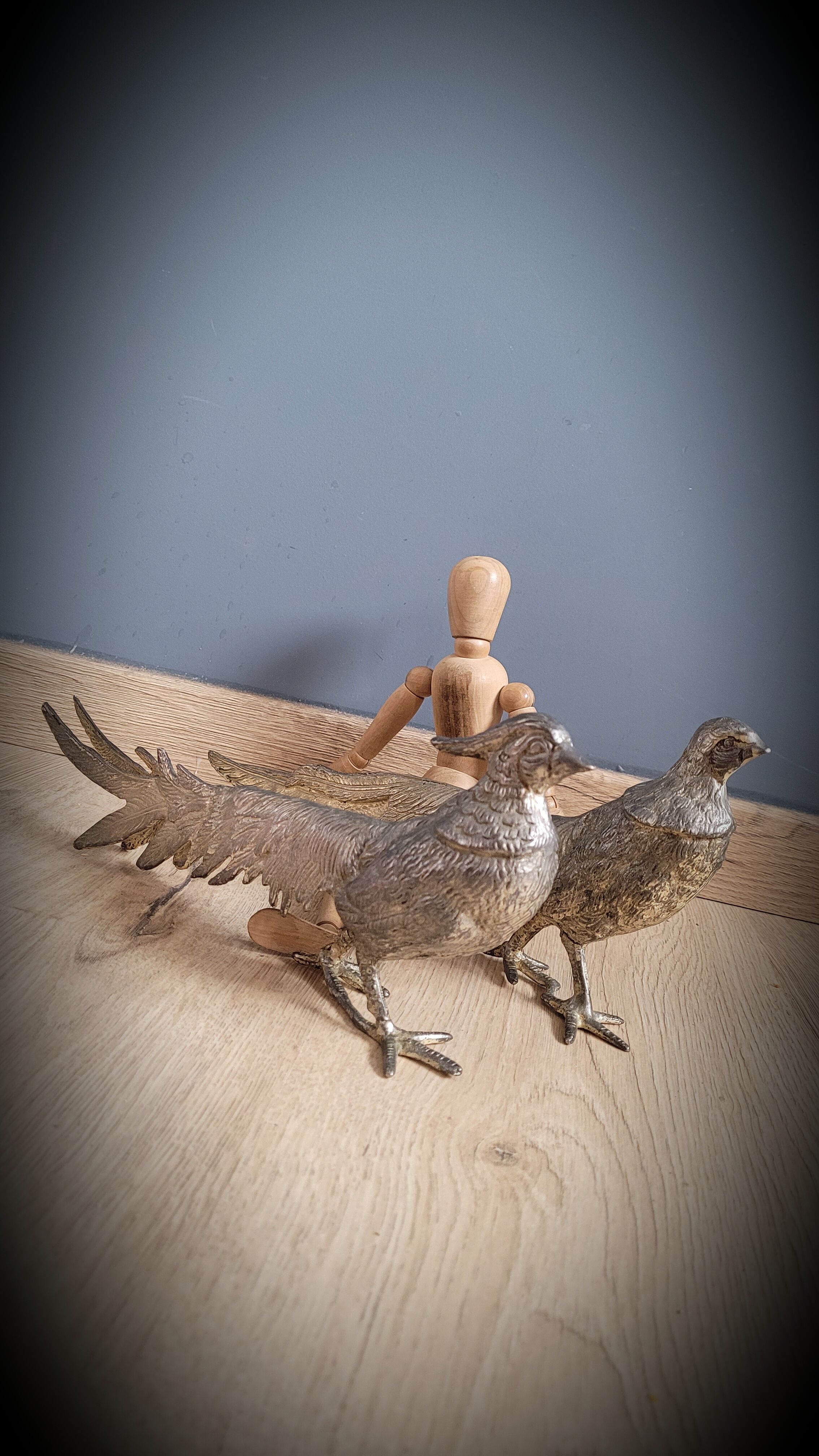 DuO of peacocks
