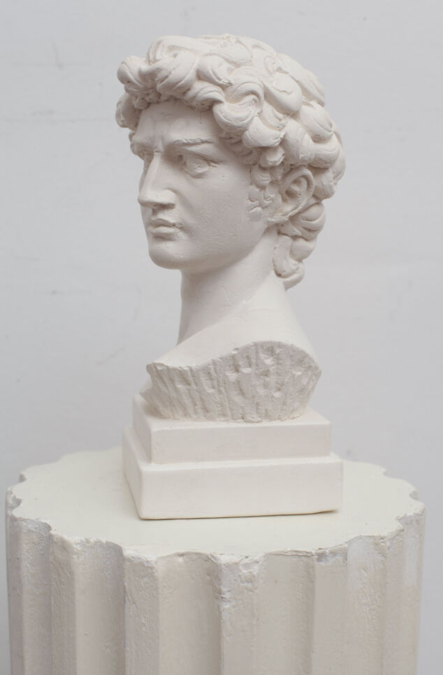 David head in white plaster
