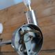 Pair of vintage wall lights in chromed metal and opaline 1970