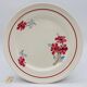 6 vintage flat plates. Ironstone.
