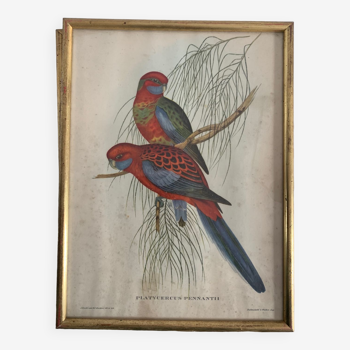 Bird painting