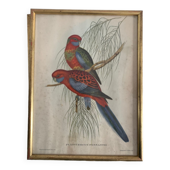 Bird painting