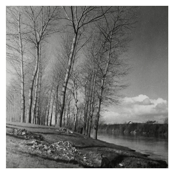 Winter landscape, riverside