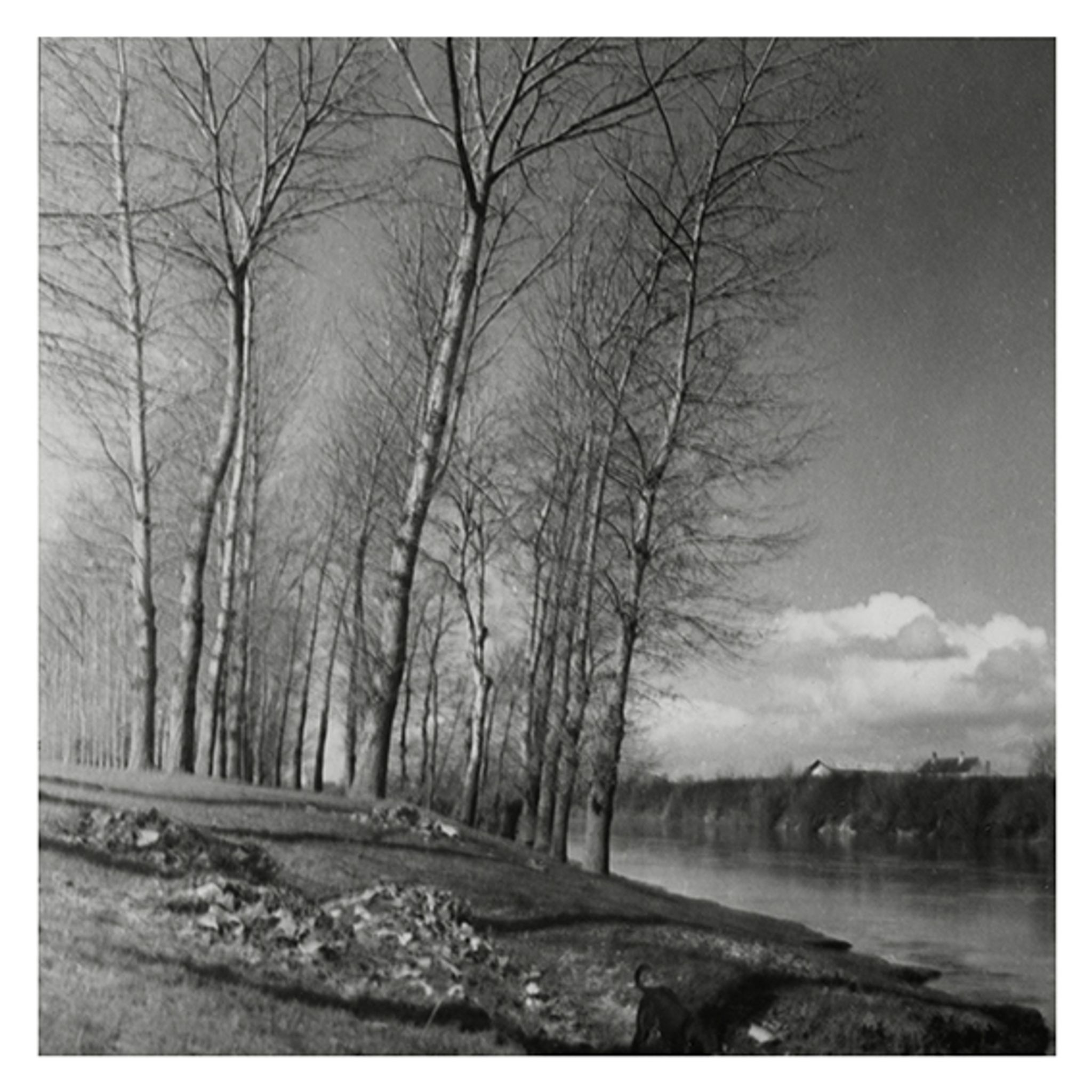 Paysage hivernal, bord de rivière
