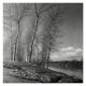 Winter landscape, riverside