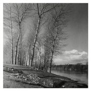 Paysage hivernal, bord de rivière