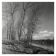 Winter landscape, riverside