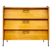 Armoire à chaussures avec cadre métallique