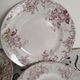 Set of 5 dinner plates in Terre de fer earthenware, red color, antique French
