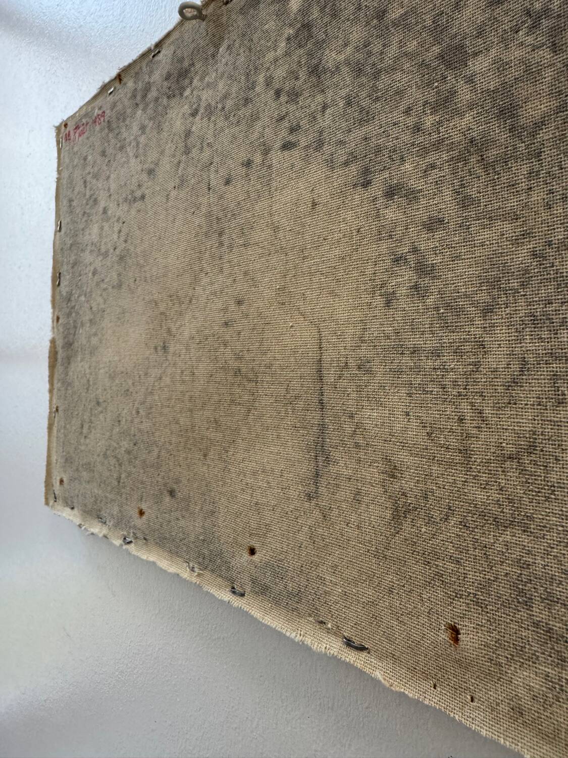 Still life painting K. Cotton