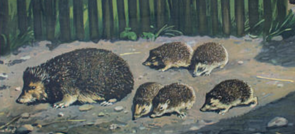 Affiche ''La famille hérisson'' publiée par Offsetdruckerei Friecke & Co 1929