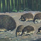 Poster "The Hedgehog Family" published by Offsetdruckerei Friecke & Co 1929