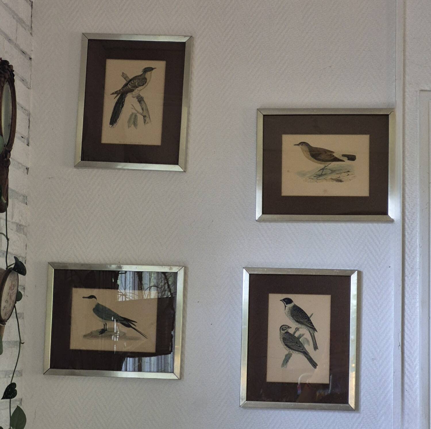 Bird prints