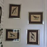 Bird prints