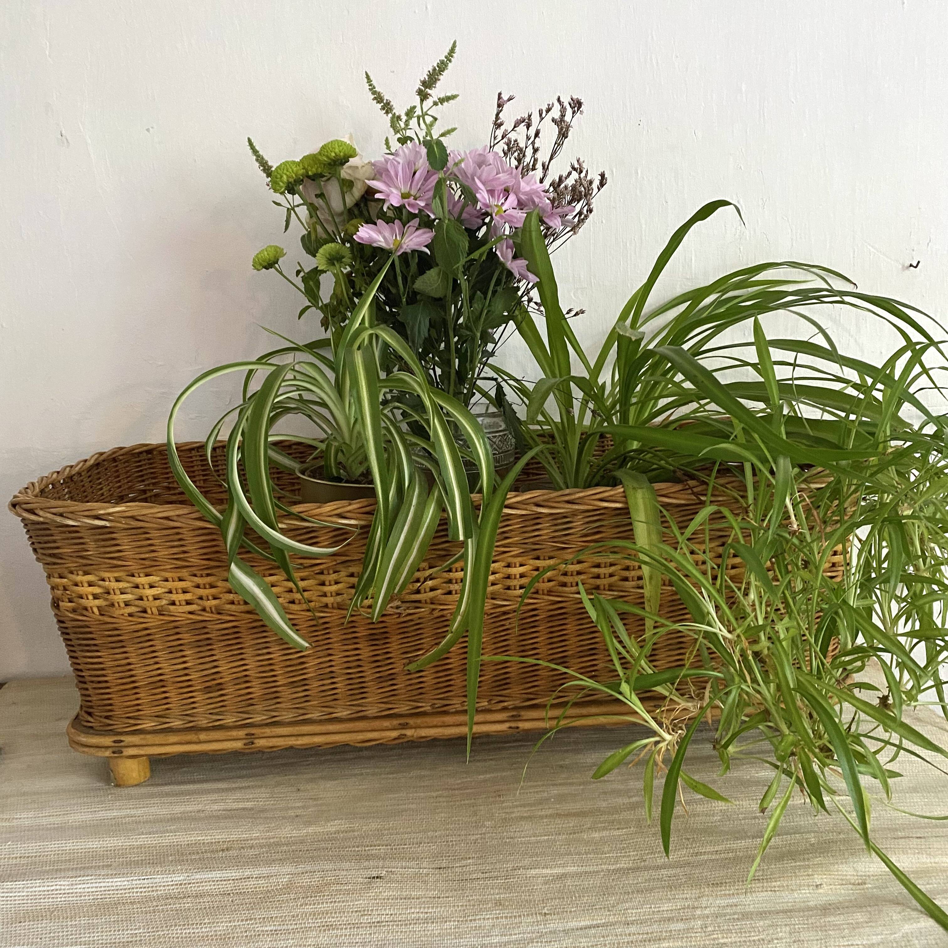 Grande jardinière en rotin