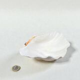large shell-shaped ashtray Tridacna natural vintage 1970s
