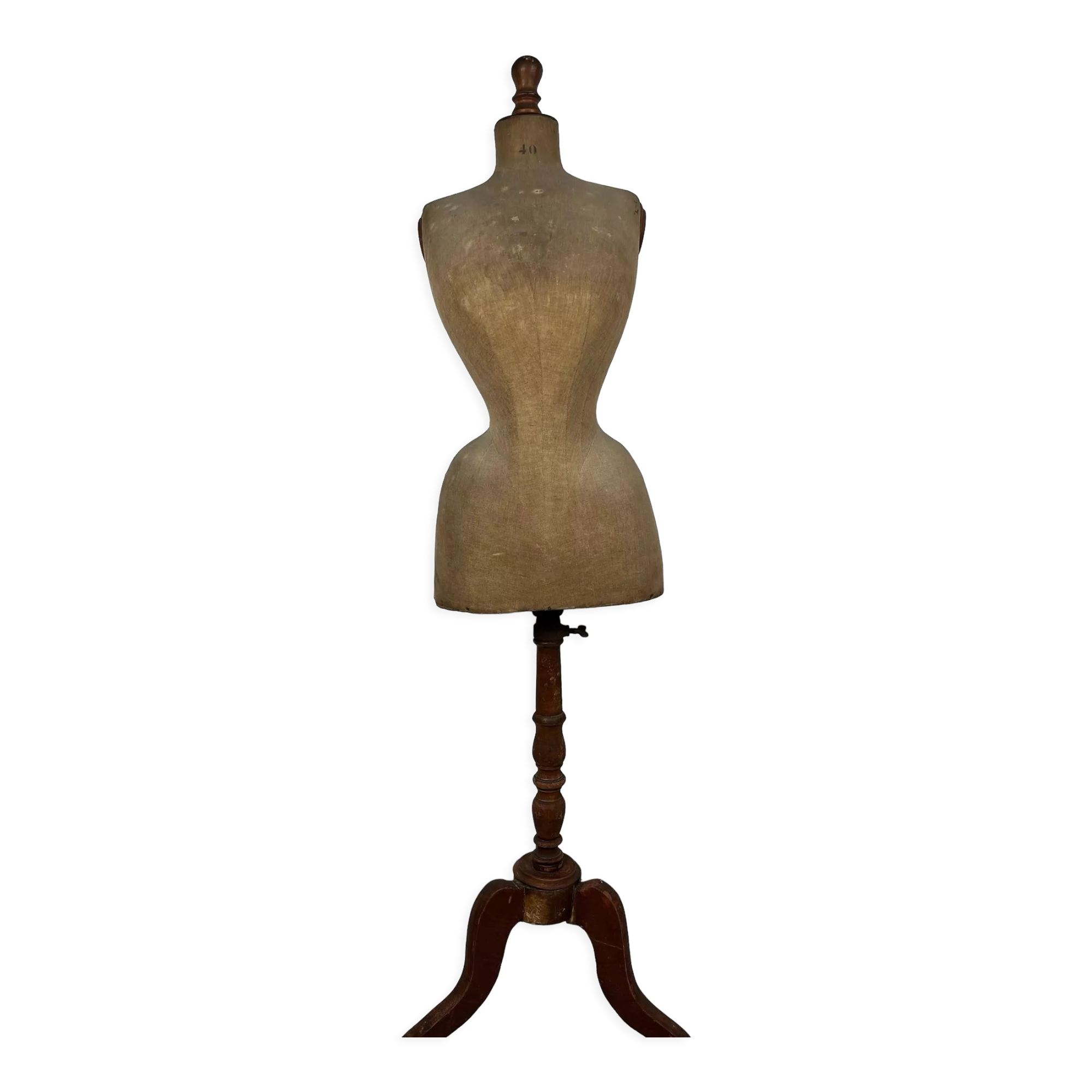 Mannequin sewing bust wasp size and false ass late nineteenth