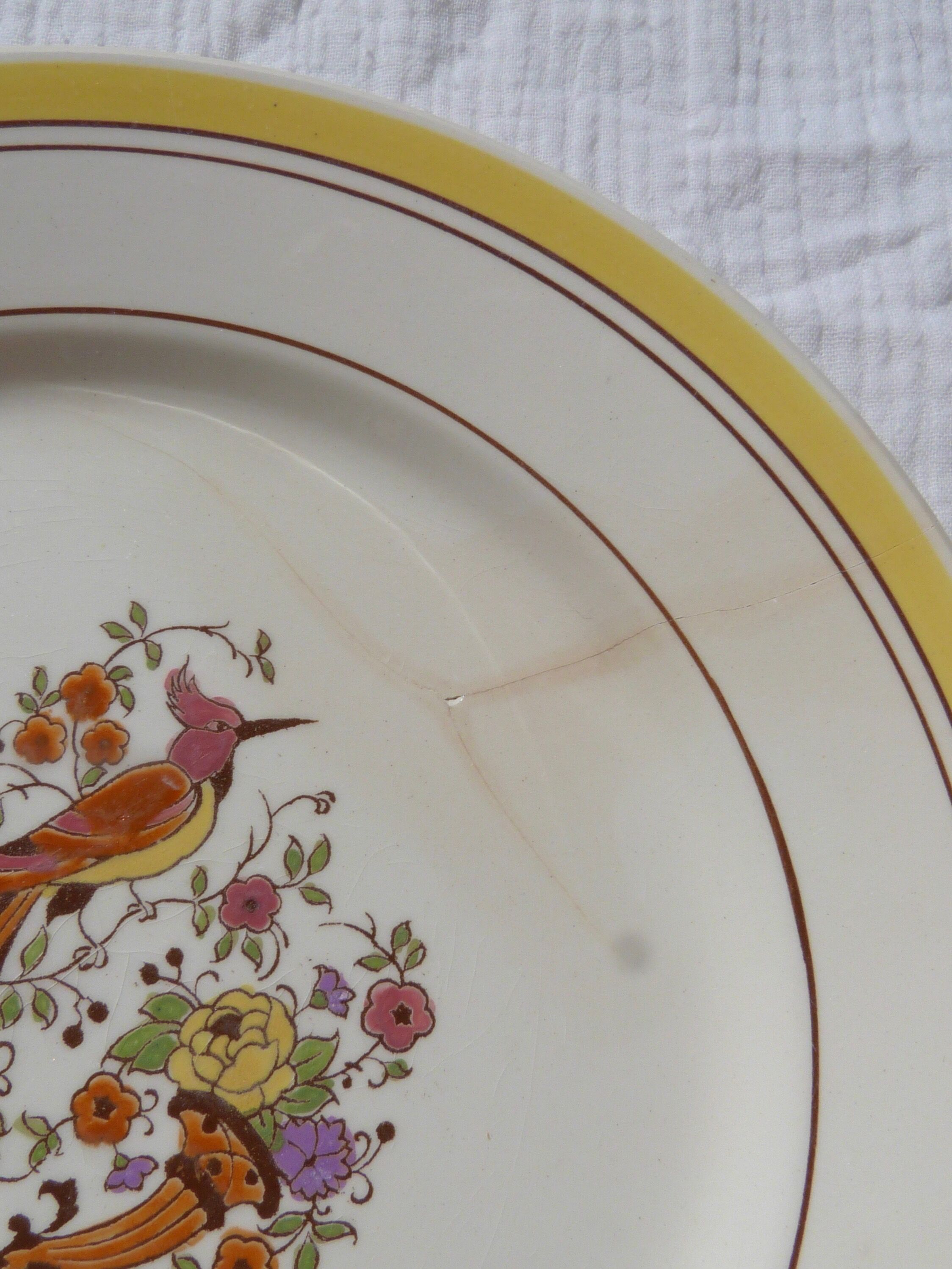 Set de 5 assiettes oiseau Boch la Louvière