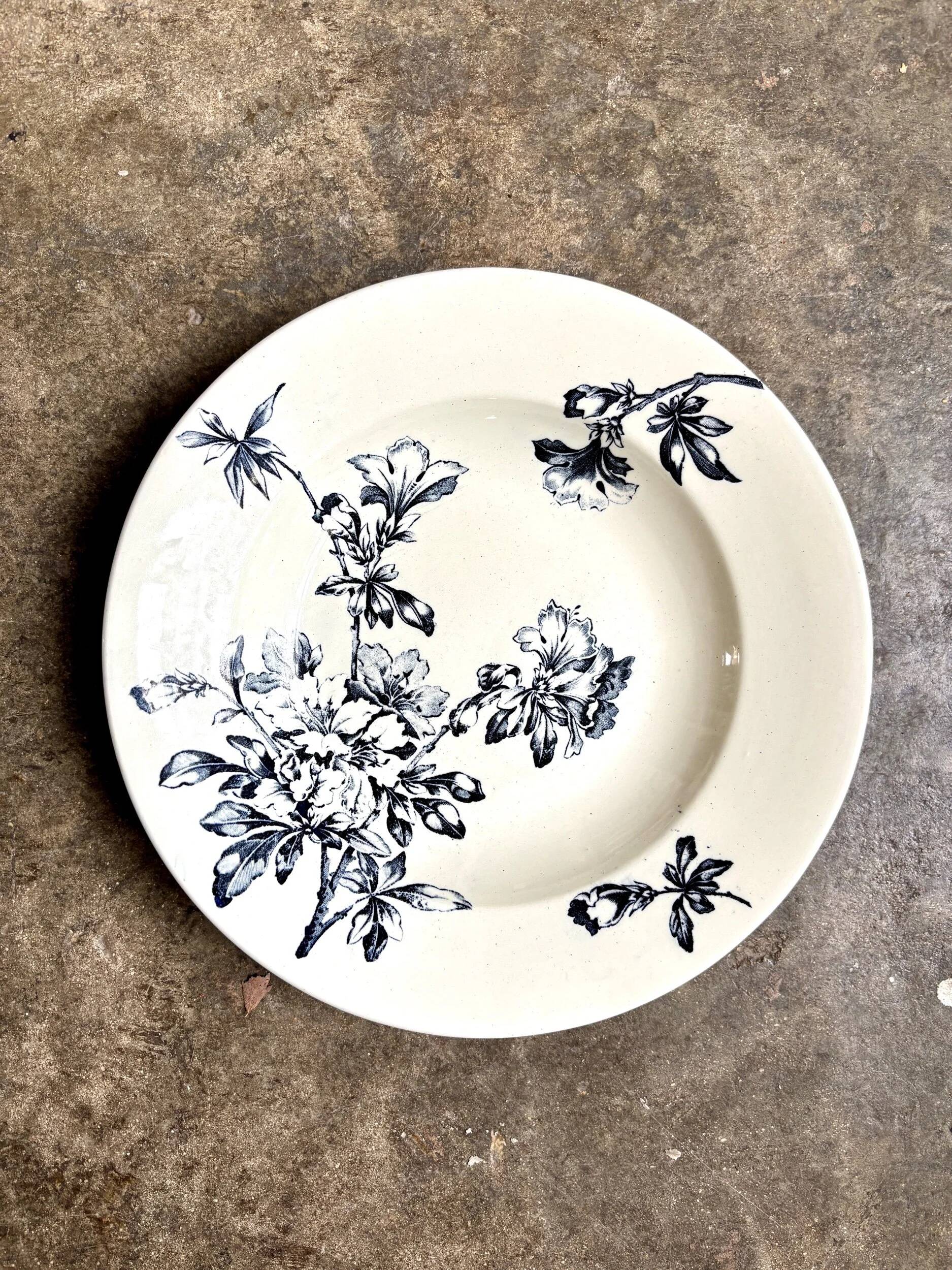 Shallow dish Lunéville in blue ironstone, service "Azalea"