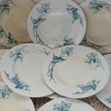 10 antique ironstone dinner plates