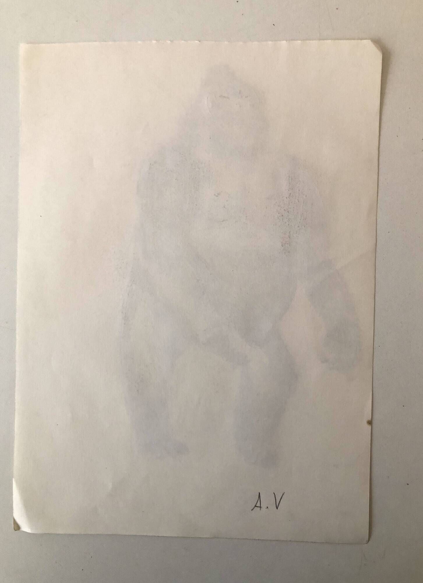 Gorilla Illustration