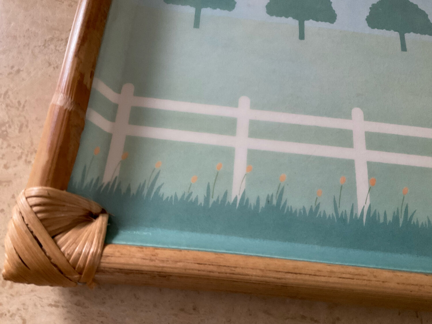 Vintage alpac tray in fiberglass and rattan