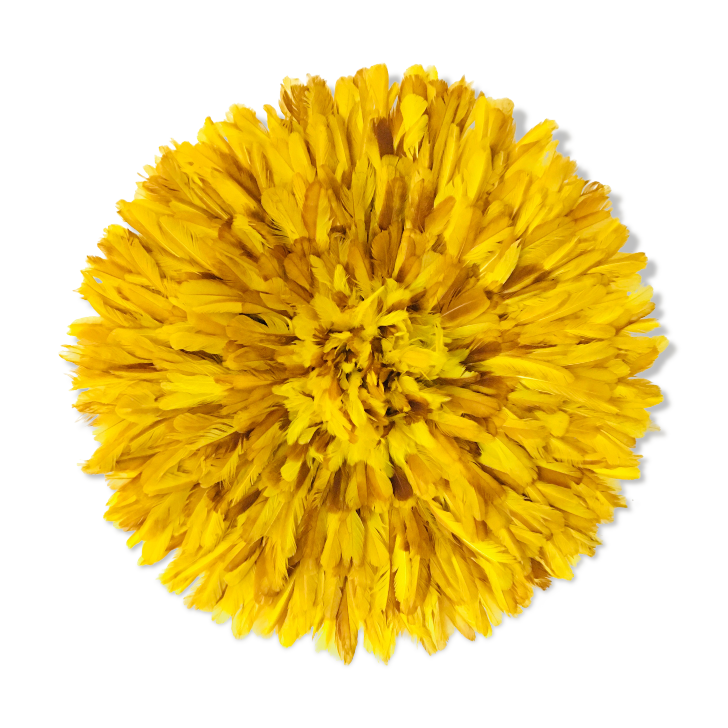 Yellow Jujuhat 55 cm